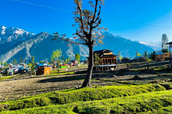 Kashmir Tour package for Family