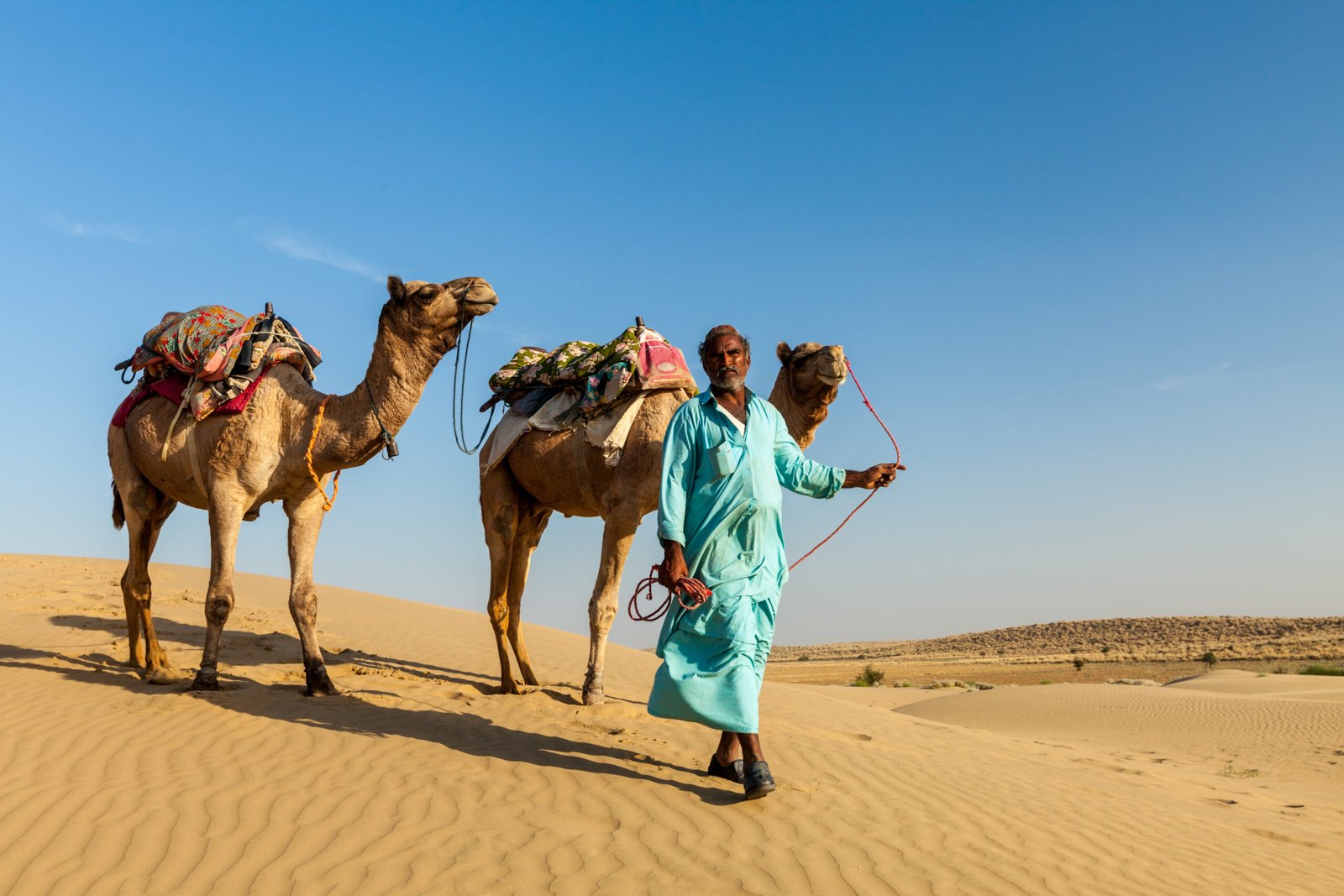 Rajasthan travel background - Indian cameleer (camel driver) with camels in dunes of Thar desert. Jaisalmer, Rajasthan, India