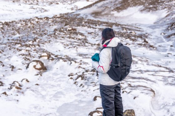 Chadar Trek Tiger Tour package