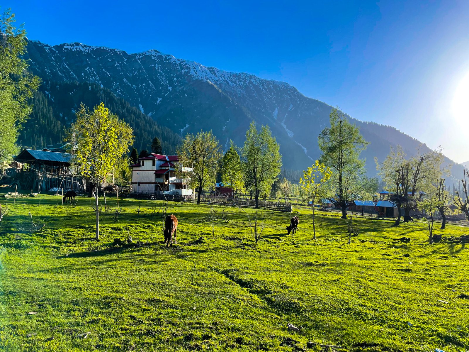 beautiful-landscape-arang-kel-kashmir-with-green-fields-local-houses-with-hidden-clouds
