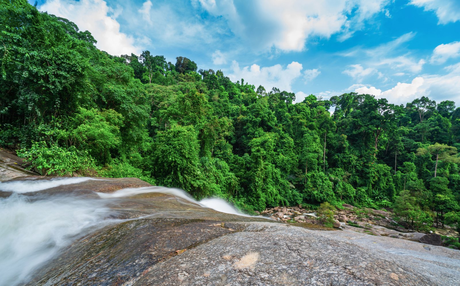 Wayanad