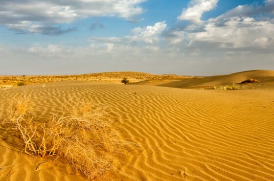 Sam Sand Dunes Tour Pakage