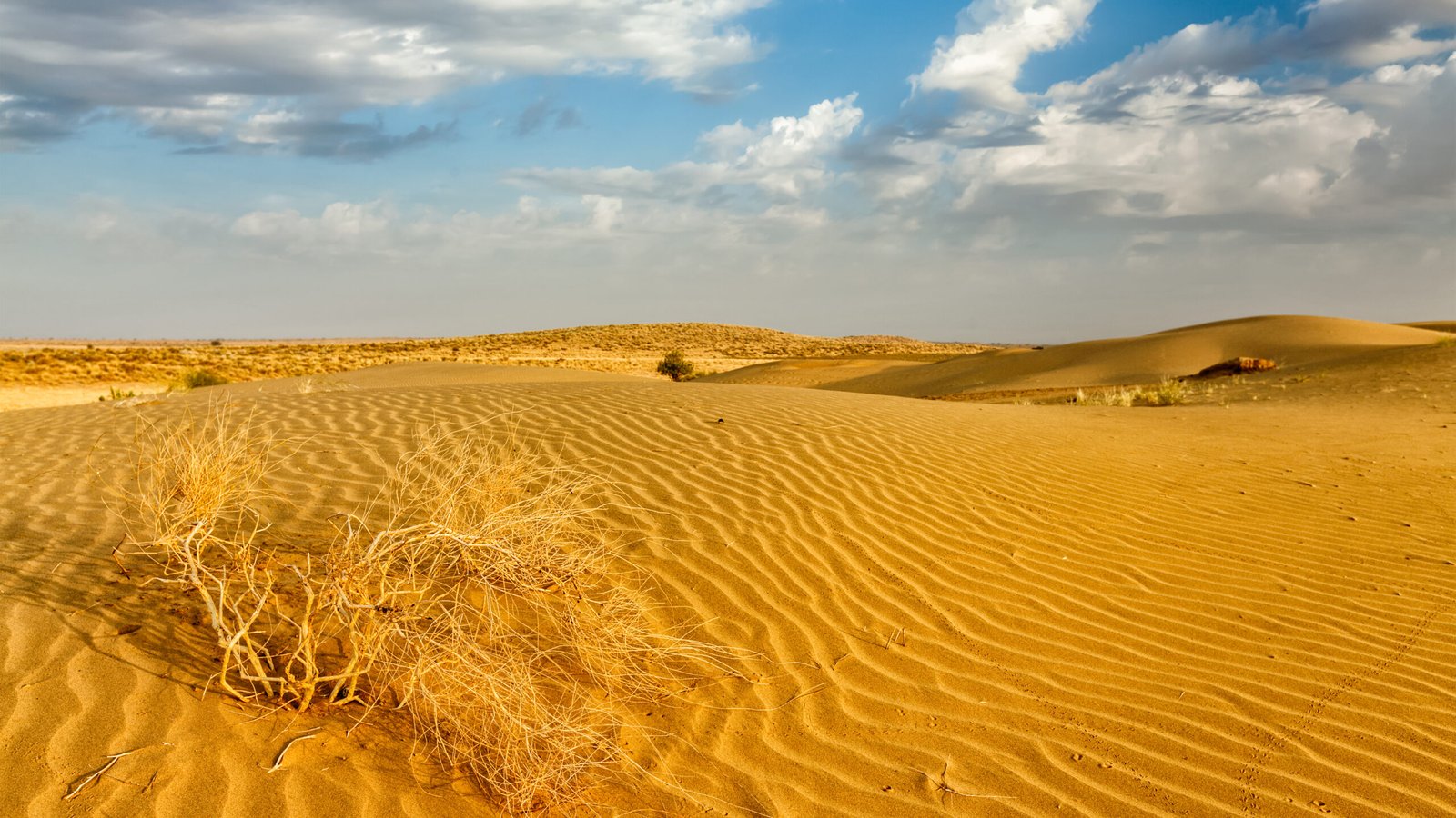 Sam Sand Dunes, Jaisalmer