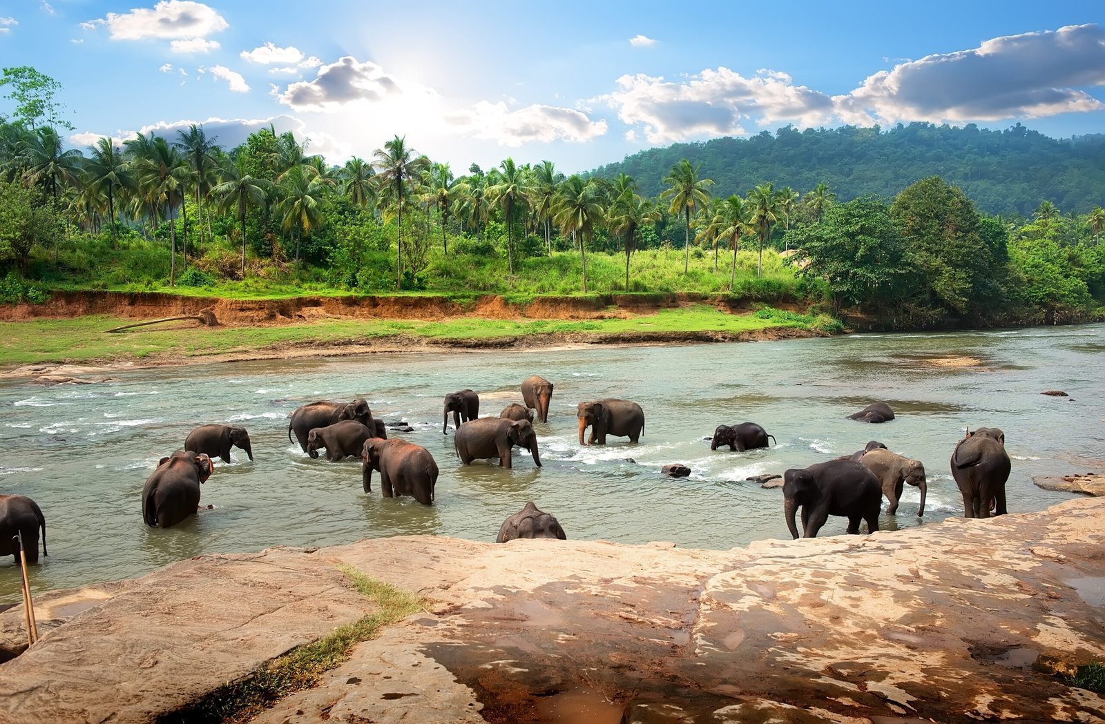 Thekkady