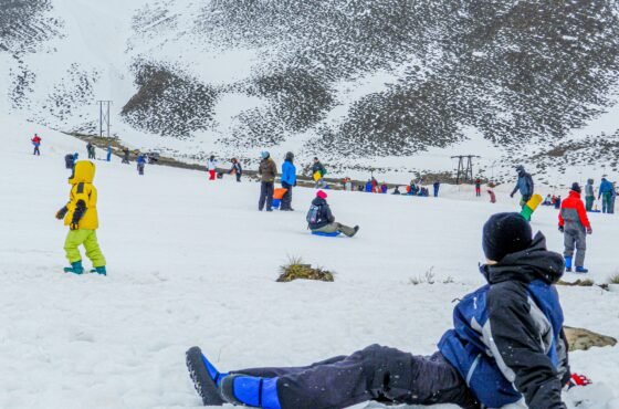 Auli Tour Pakage