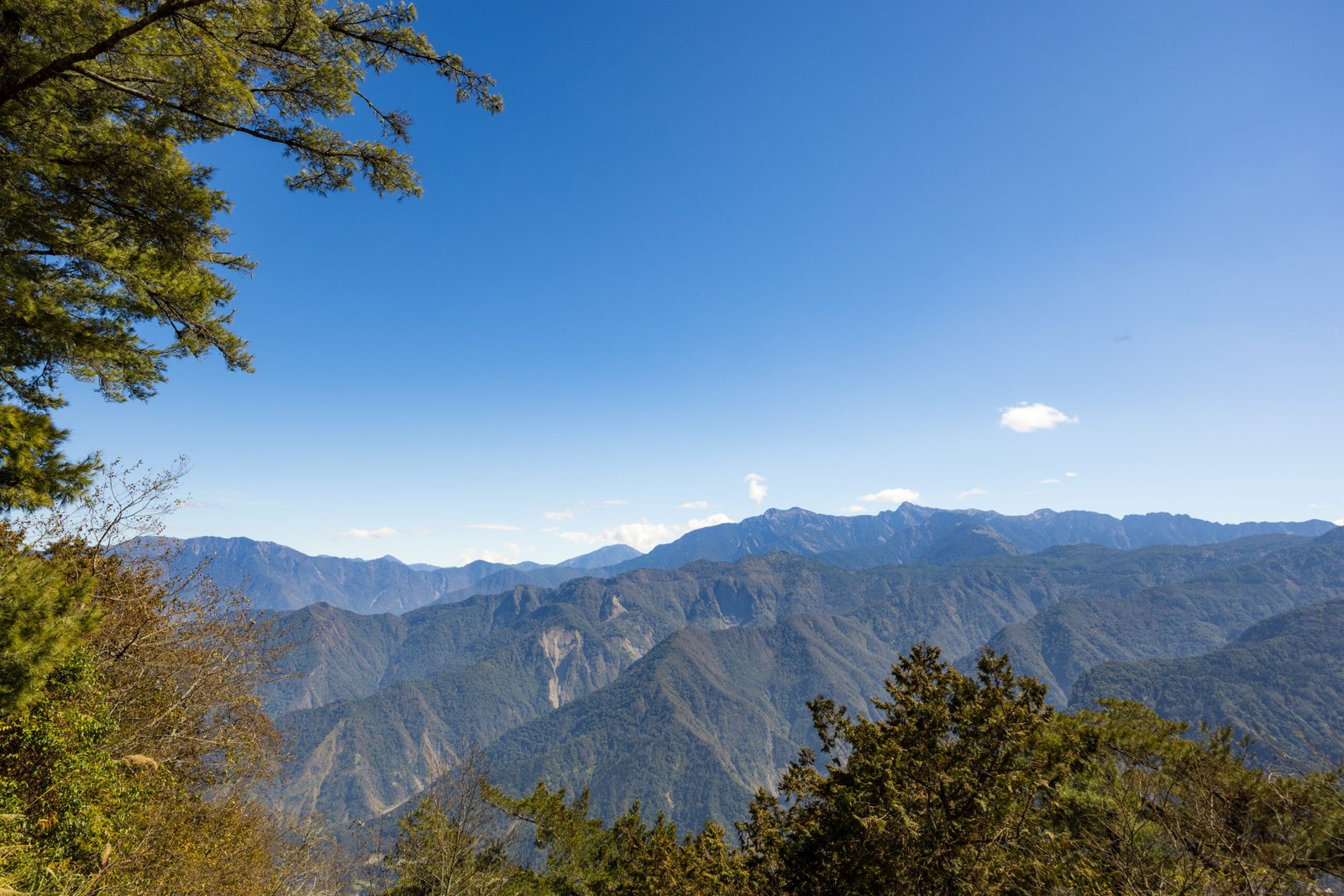 Sandakphu Trek