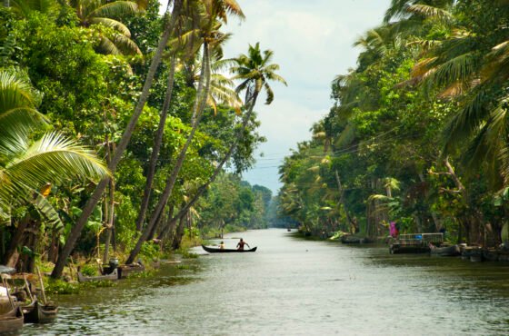 Alleppey Tour package