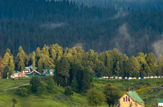 Gulmarg Tour package