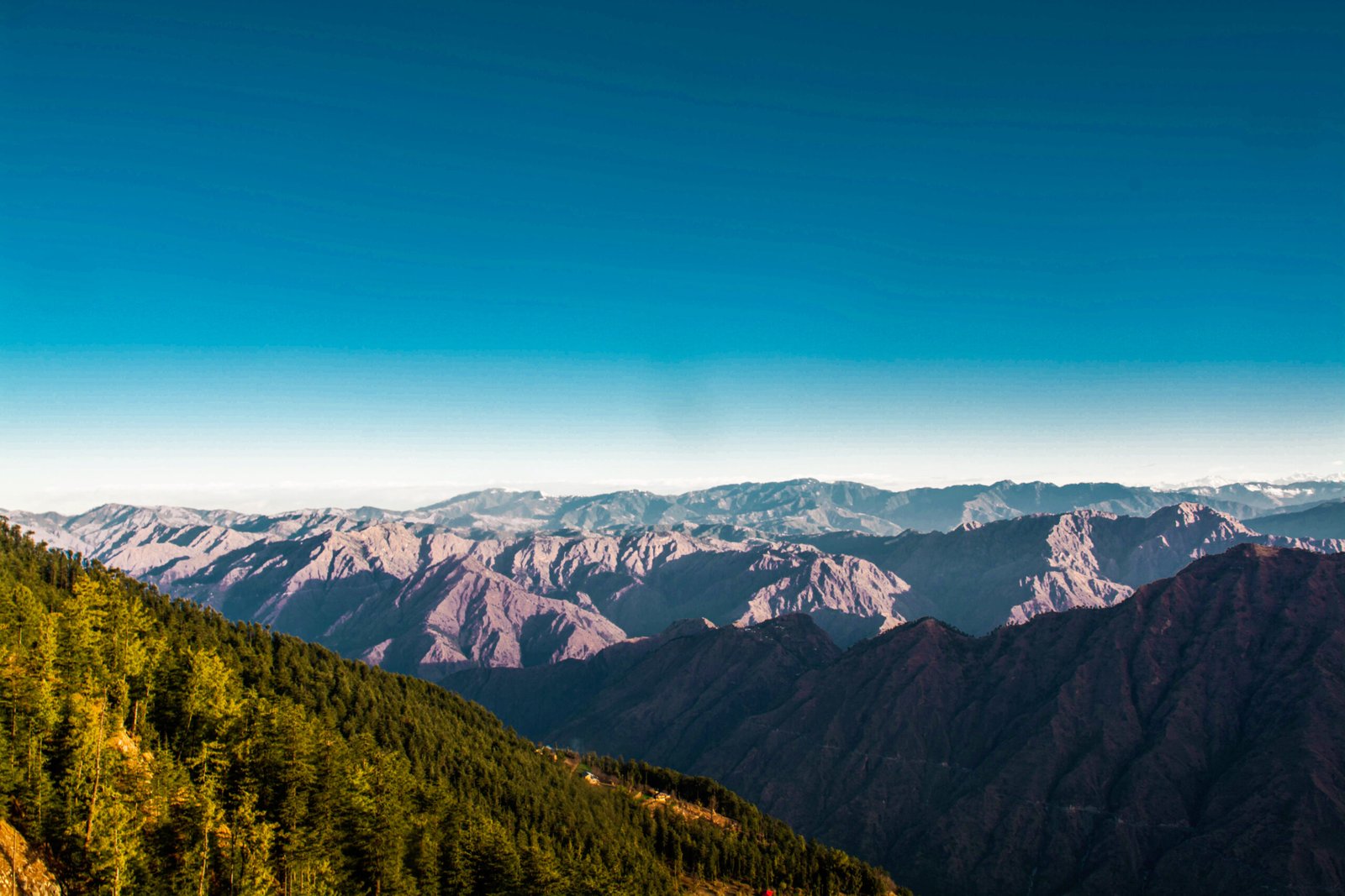 Shimla