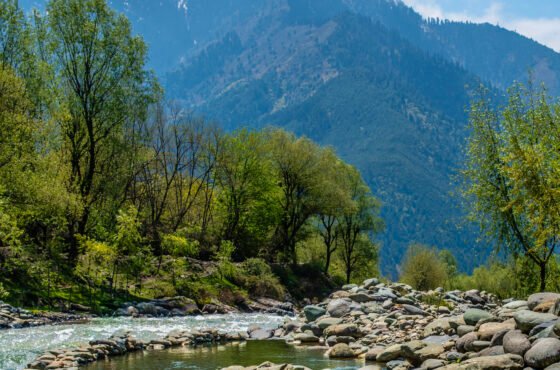 Sonmarg Tour package