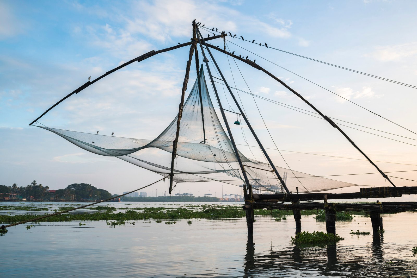 Kochi