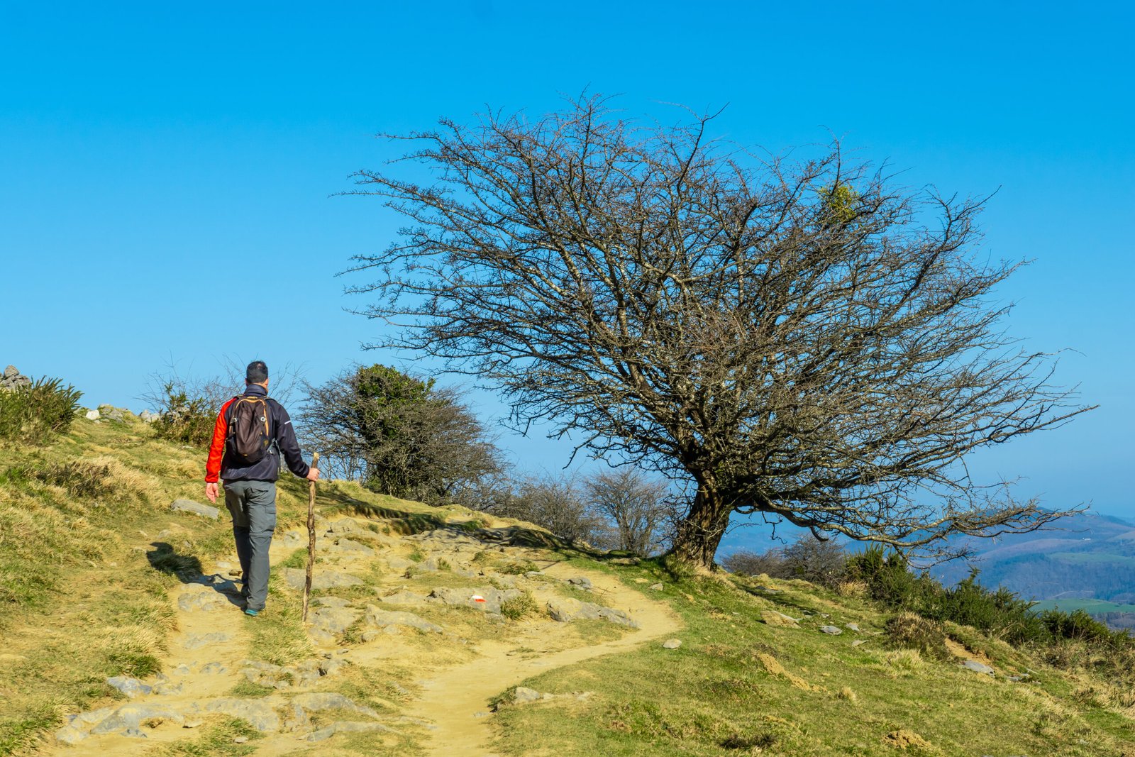 Trekking along the trail up to Mount Ernio or Hernio in Gipuzkoa at sunset, Basque Country