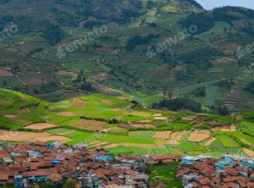 Ooty